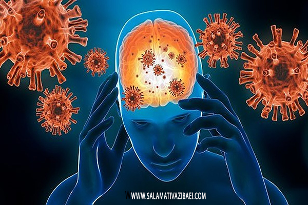 تاثیرات ویروس کرونا بر روی مغز