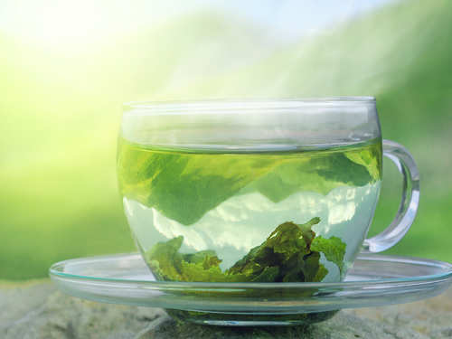 درمان ریزش مو با چای سبز