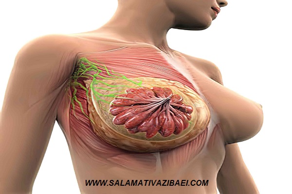 رشد نوک سینه بعد از آسیب