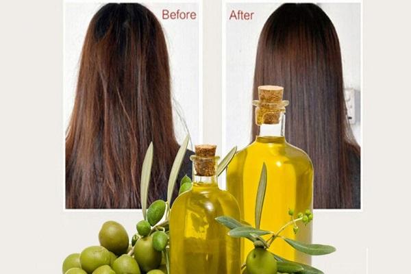 فواید روغن زیتون برای درمان موهای خشک
