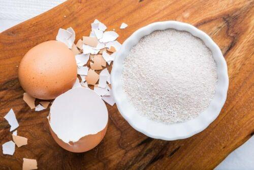 پوست تخم مرغ از کربنات کلسیم به همراه مقادیر کمی پروتئین و سایر ترکیبات آلی تشکیل شده است
