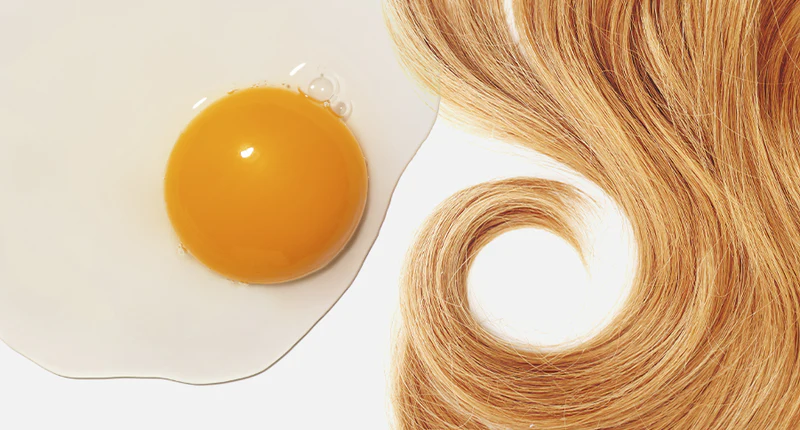 فواید تخم مرغ برای مو، نحوه استفاده از تخم مرغ برای رشد مو و درمان ریزش مو