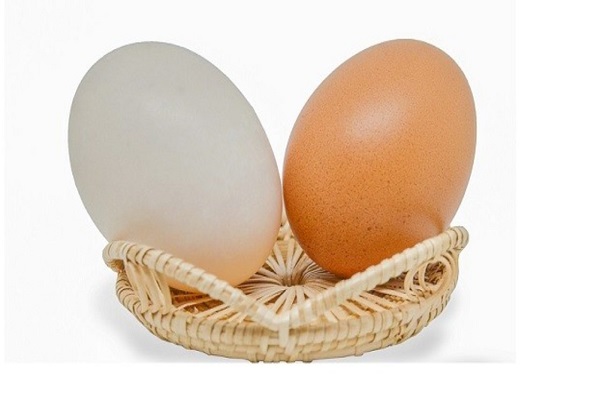 تفاوت تخم مرغ سفید با تخم مرغ قهوه ای، آیا تخم مرغ قهوه ای سالم تر از تخم مرغ سفید است؟