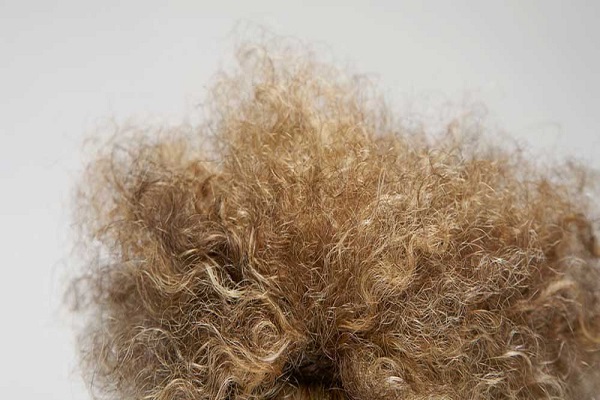 دلایل موخوره و نکاتی برای پیشگیری و درمان موهای وز در هوای مرطوب