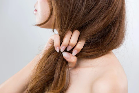 درمان خشکی و شوره سر با پودر کارلا برای مراقبت از مو