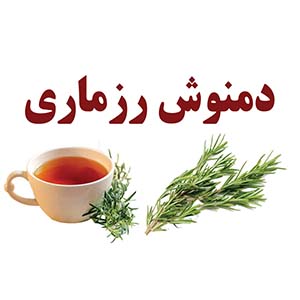 چای رزماری چیست؟ فواید و عوارض چای رزماری، نحوه درست کردن چای رزماری