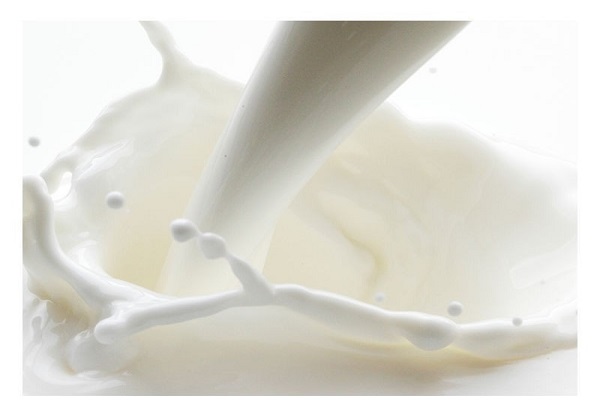 کرم شیر یا مالایی چیست؟ فواید و عوارض کرم شیر برای صورت، طرز تهیه کرم شیر خانگی 