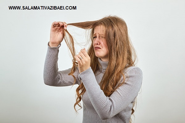 فواید روغن چریش برای تقویت مو و عوارض روغن چریش برای مو و نحوه استفاده از روغن چریش برای مو